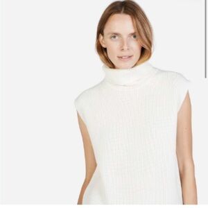 Everlane chunky wool sleeveless turtleneck